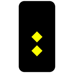設計安全執行官肩章    訂製階級標籤魔術貼肩章   Assistant Security Executive   SKAB020 設計安全執行官肩章    訂製階級標籤魔術貼肩章   Assistant Security Executive   SKAB020